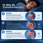 KALMIA — Dispositivo Inteligente Anti-Ronquidos